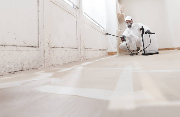 24/7 Emergency Mold Remediation experts in Fairview, TX