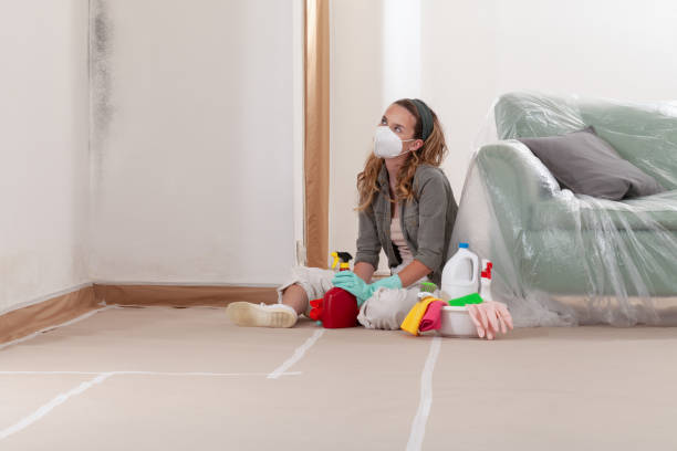 Reliable Mold Remediation contractor in Fairview, TX by WQB Mold Removal